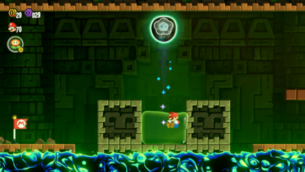 ワンダーフラワー