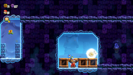 ワンダーシード