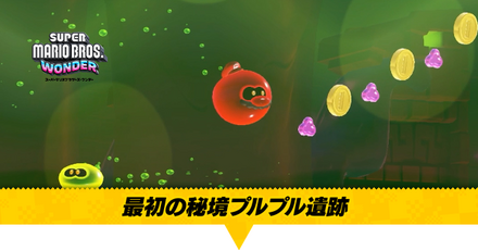 最初の秘境プルプル遺跡画像