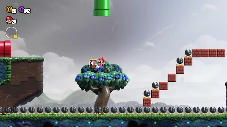 マリオワンダー】ゆたかな大地パックンガーデンのワンダーシード