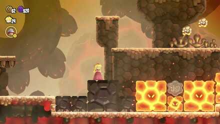 フラワーコイン1