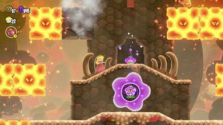 ワンダーフラワー