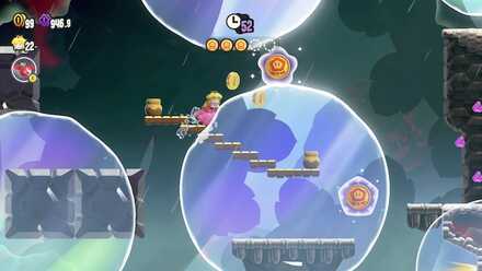 ワンダーフラワー