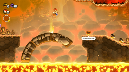 ワンダーフラワー