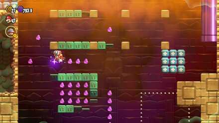 フラワーコインの欠片を目印にする