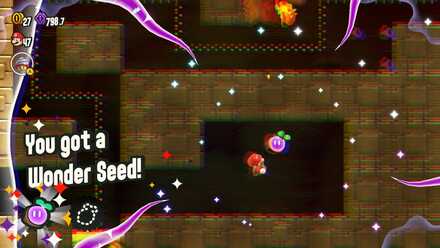 ウーロン遺跡のシード