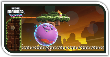 ドカンロック平原SPコロンポリンのトゲトゲわたり画像