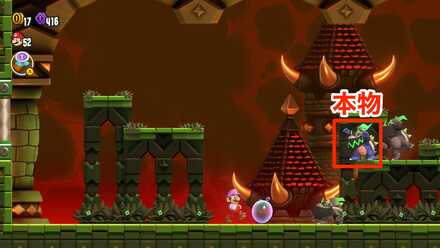 本物の見分け方