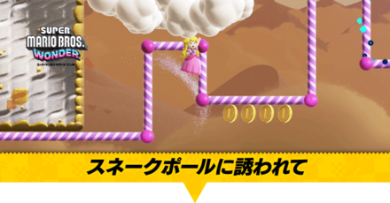 ヒデリー砂漠SPスネークポールに誘われて画像