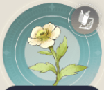 シロヒメクサの画像