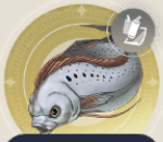 古代魚の画像