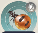 貯ミツアリの画像