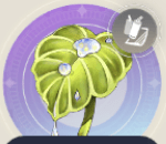 月のしずくの画像