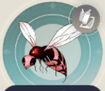 ローズビーの画像