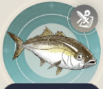 セリヨルの画像