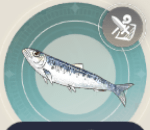 サルディンの画像