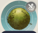 クスリゴケの画像