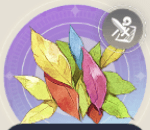 ツドイグサの画像