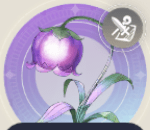 導きの花の画像