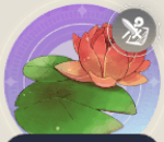 蓮の画像