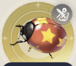 星テントウの画像