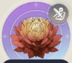 太陽の花の画像