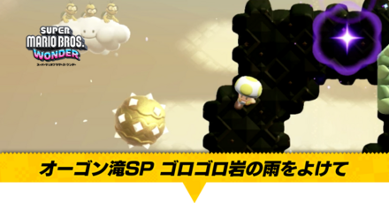 オーゴン滝SPゴロゴロ岩の雨をよけて画像