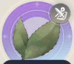 リュウソウランの画像