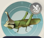 カブトバッタの画像