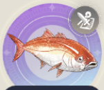 ルインフィッシュの画像