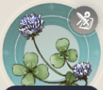 アオツメクサの画像