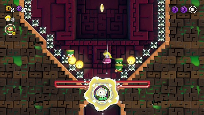 ワンダーフラワー