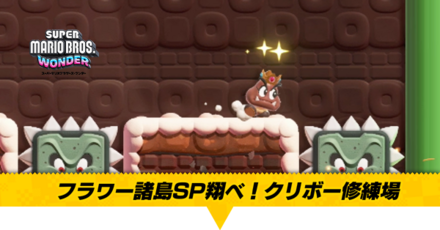 フラワー諸島SP翔べ！クリボー修練場画像