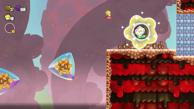 ワンダーフラワー