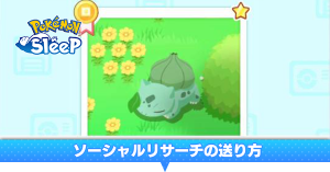 ソーシャルリサーチ