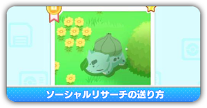 ソーシャルリサーチ