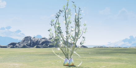 ジェネシスポイント