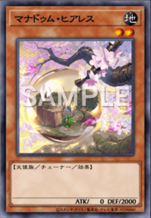 マナドゥム・ヒアレス画像