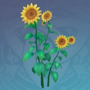 「お日様の水彩」の画像