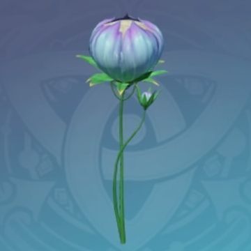 「蒲公英とググプラムの夢」の画像