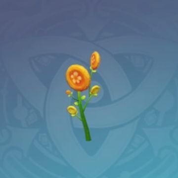 「鬱蒼としたモラの夢」の画像