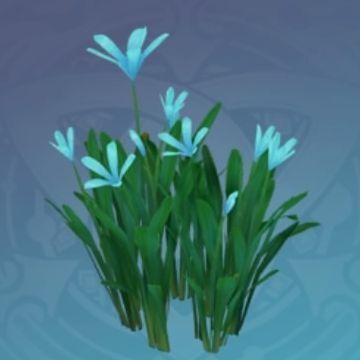 「海色蝶の群れ」の画像