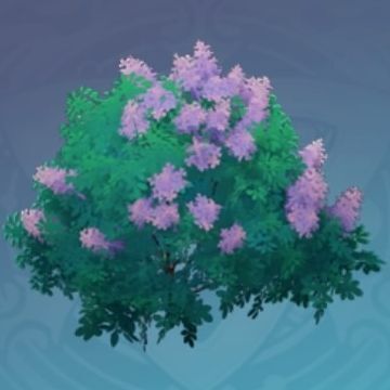 「桔梗の霞」の画像