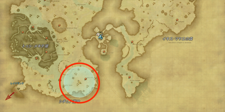 ラケティカ大森林