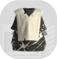 スミコボシベスト画像