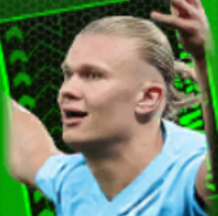 TPアーリングハーランド(11/02)画像