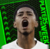 TPジュードベリンガム(11/02)画像