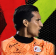 HPディエゴウルティアガ(11/02)画像