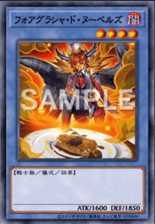 フォアグラシャ・ド・ヌーベルズ画像