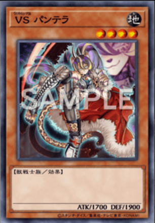 ＶＳ パンテラ画像
